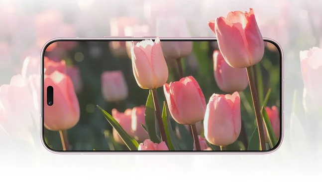 cấu hình của HONOR X80i 