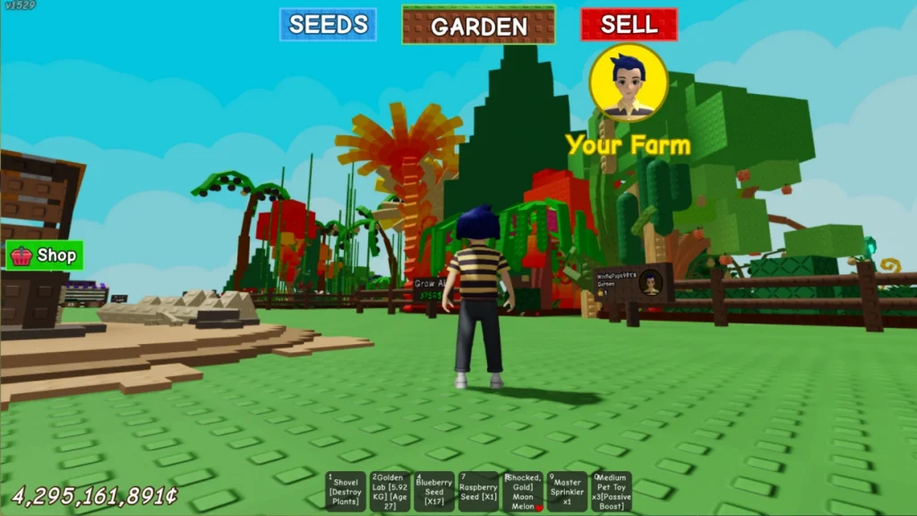nạp roblox